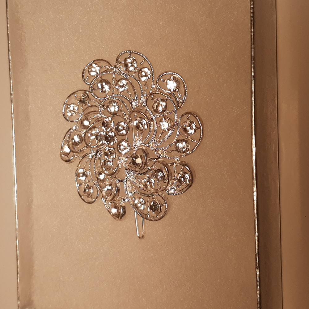 Silver rhinestones hair clips